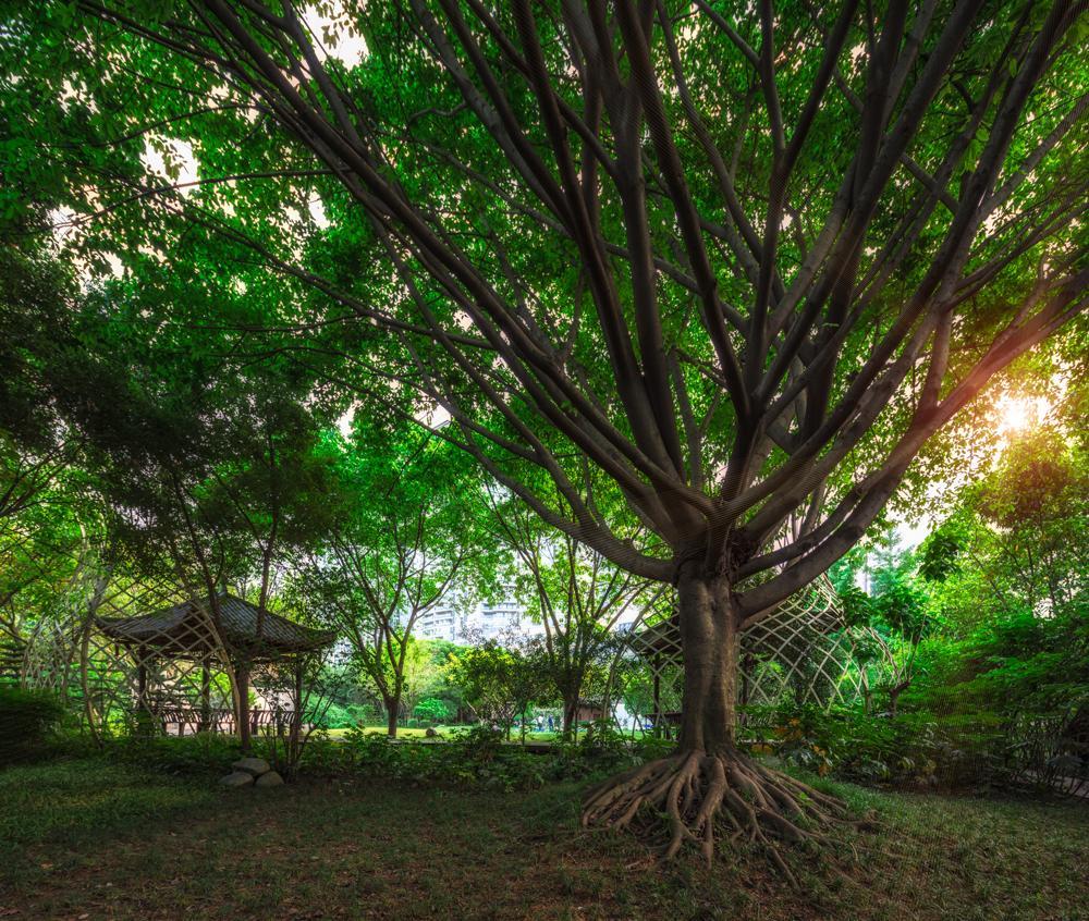 Chengdu Wangjiang Hotel Bagian luar foto